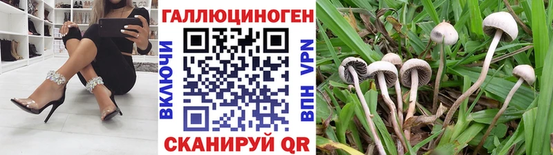 как найти закладки  Мензелинск  Галлюциногенные грибы Psilocybe 